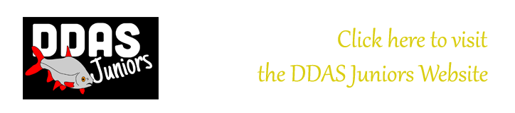Visit the DDAS Juniors website
